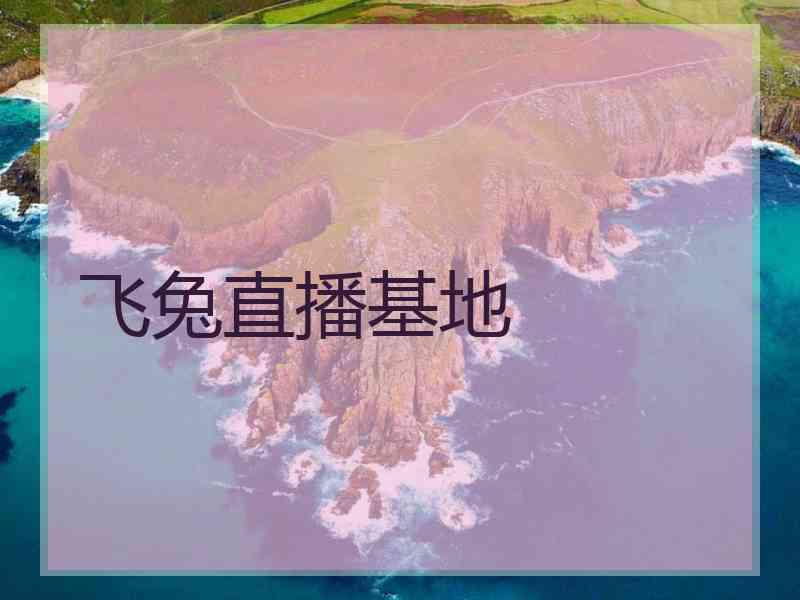 飞兔直播基地