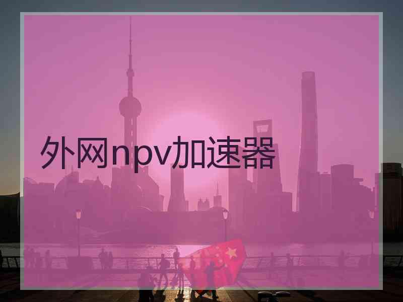 外网npv加速器