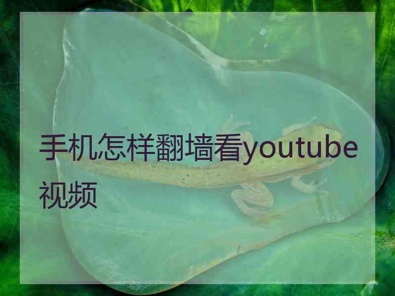 手机怎样翻墙看youtube视频