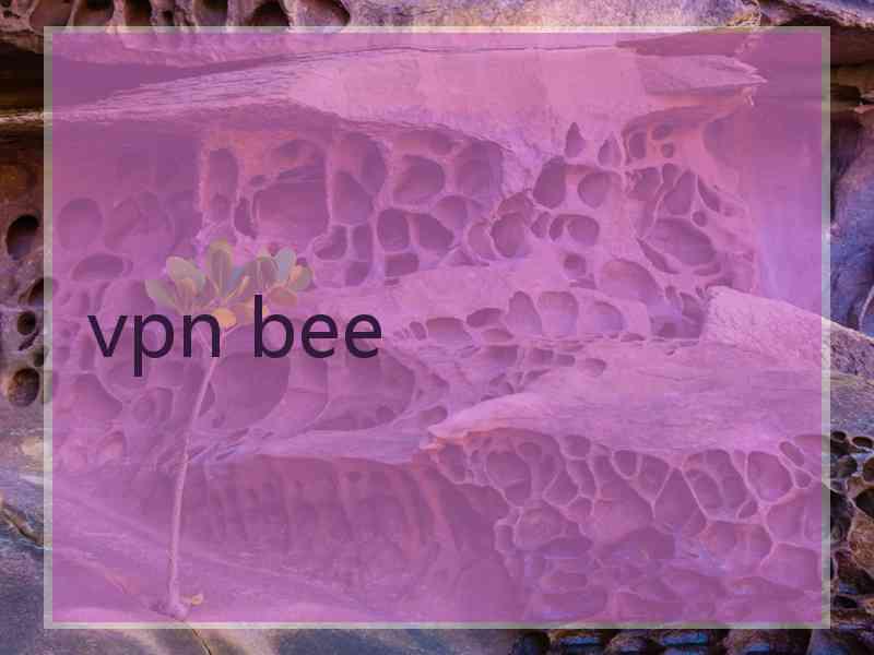 vpn bee