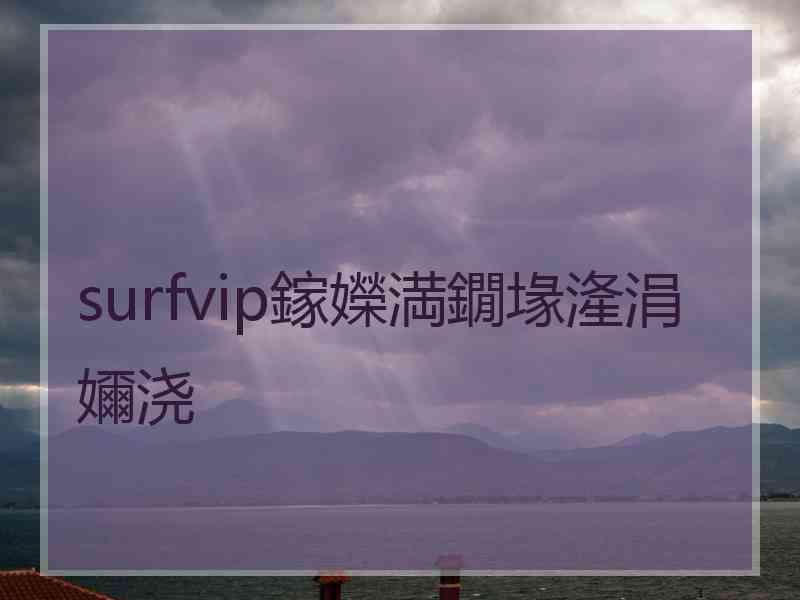 surfvip鎵嬫満鐗堟湰涓嬭浇