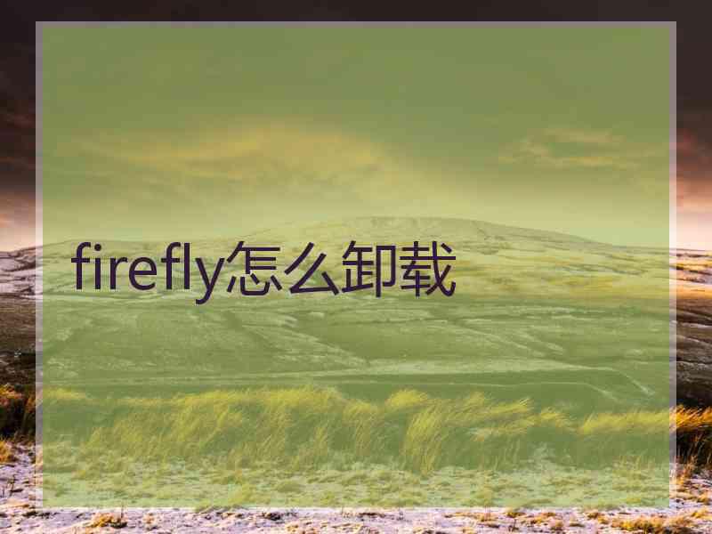 firefly怎么卸载