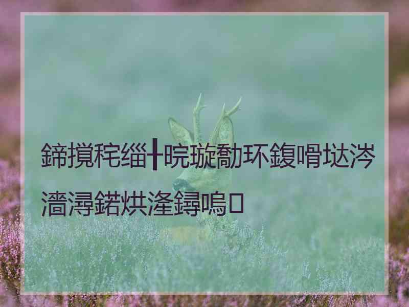 鍗撹秺缁╂晥璇勪环鍑嗗垯涔濇潯鍩烘湰鐞嗚