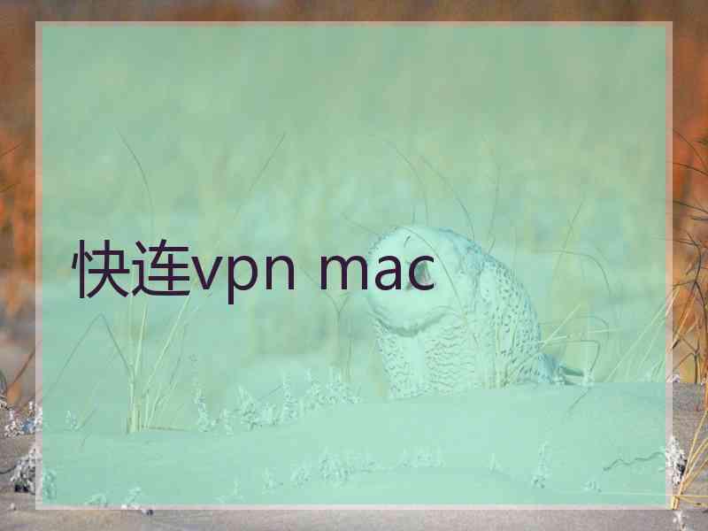 快连vpn mac