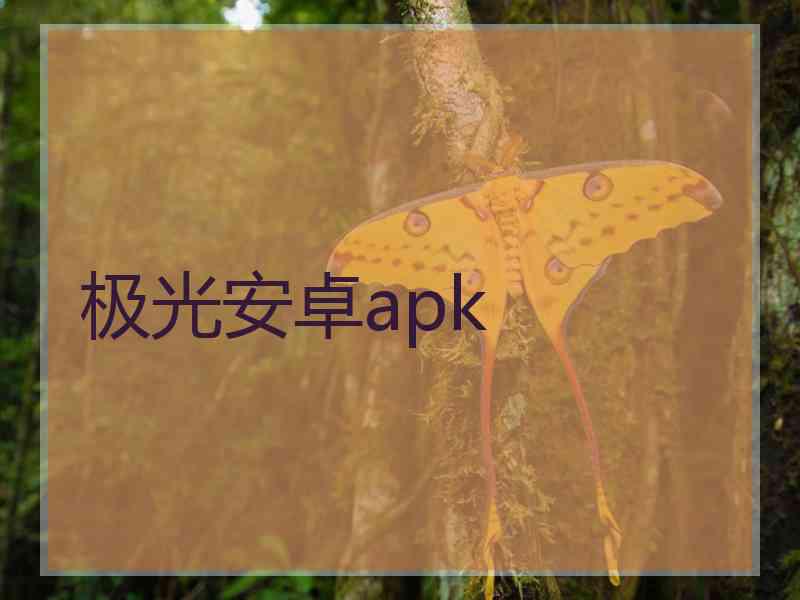 极光安卓apk