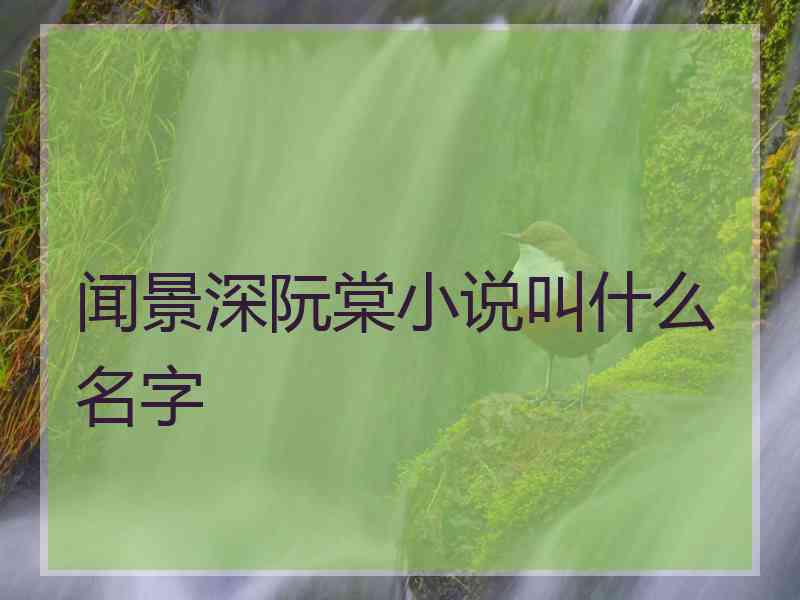 闻景深阮棠小说叫什么名字