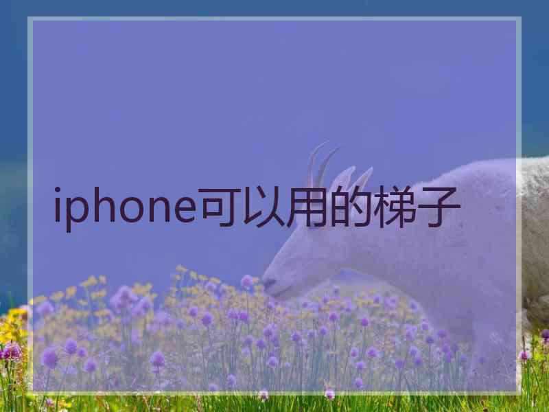 iphone可以用的梯子