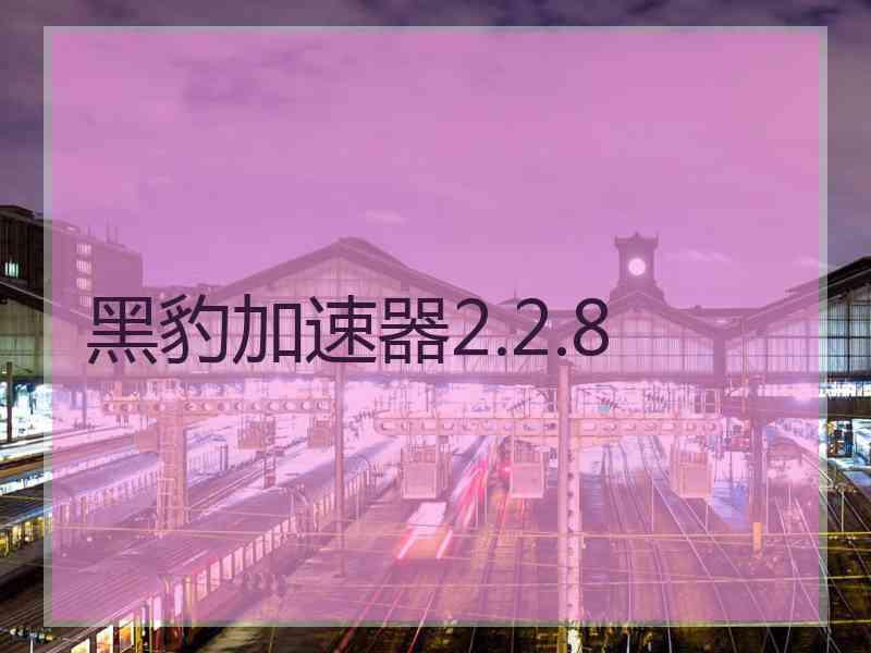 黑豹加速器2.2.8