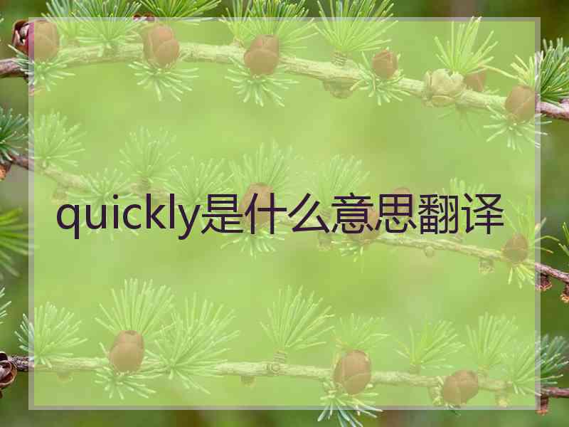 quickly是什么意思翻译