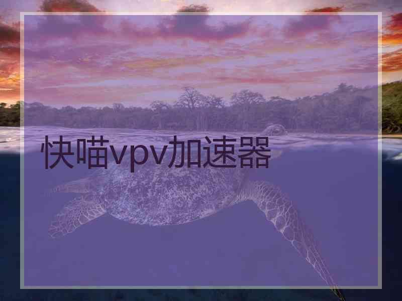 快喵vpv加速器