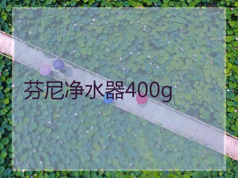 芬尼净水器400g