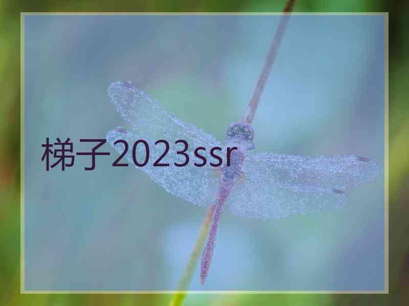 梯子2023ssr