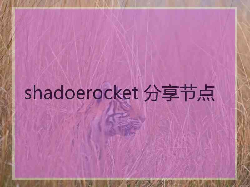 shadoerocket 分享节点