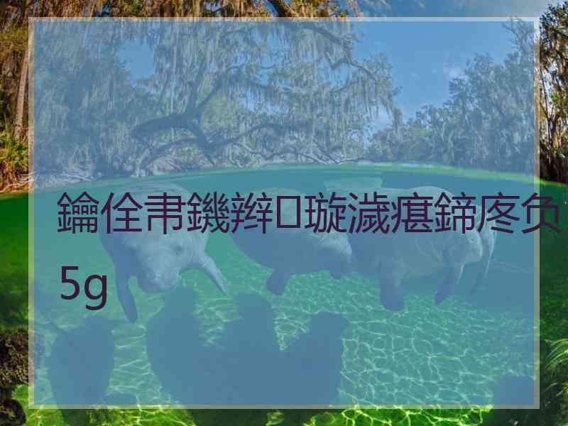 鑰佺帇鐖辫璇濊瘎鍗庝负5g