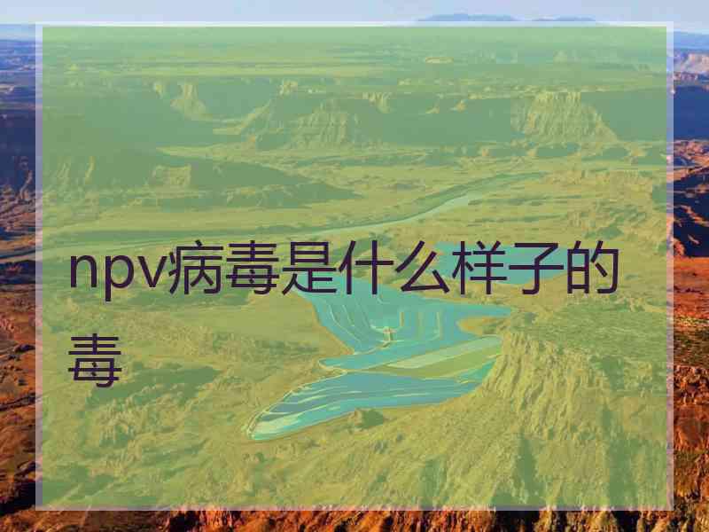 npv病毒是什么样子的毒