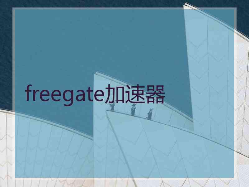 freegate加速器