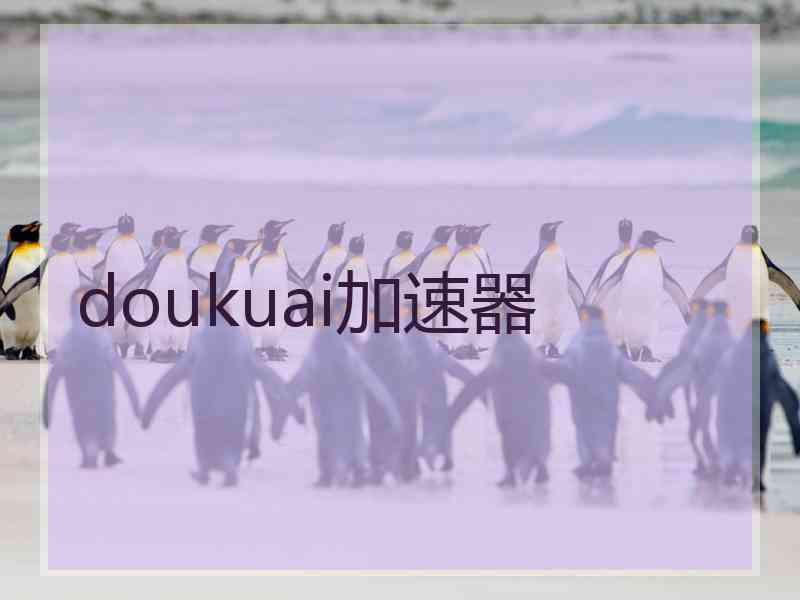 doukuai加速器