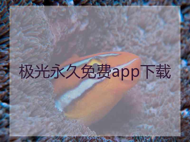 极光永久免费app下载