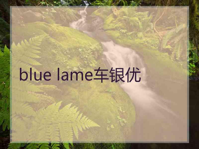 blue lame车银优