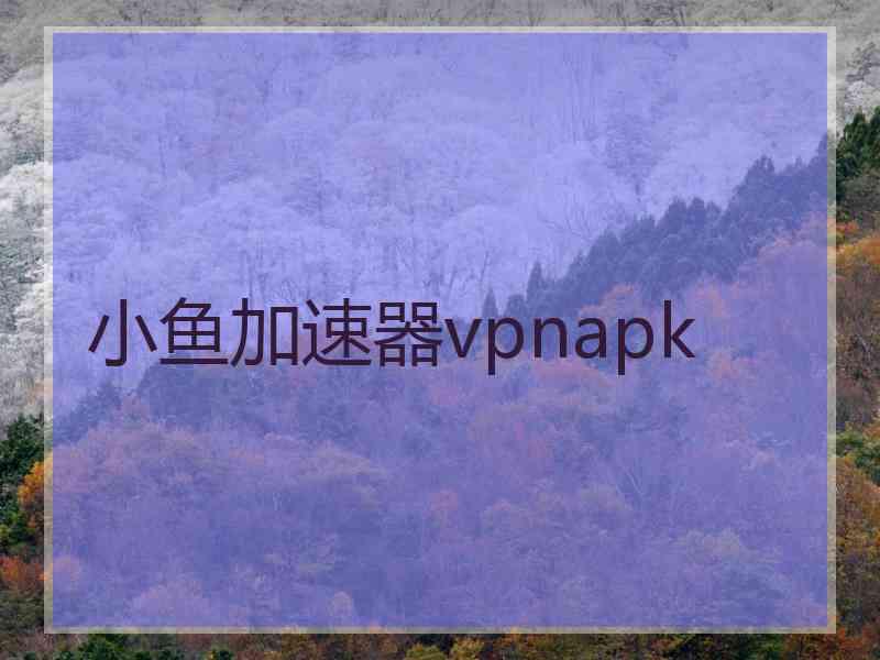 小鱼加速器vpnapk