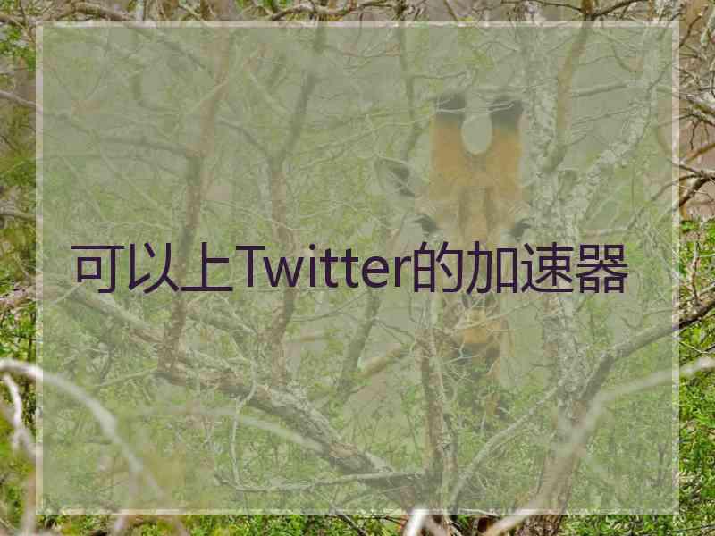 可以上Twitter的加速器