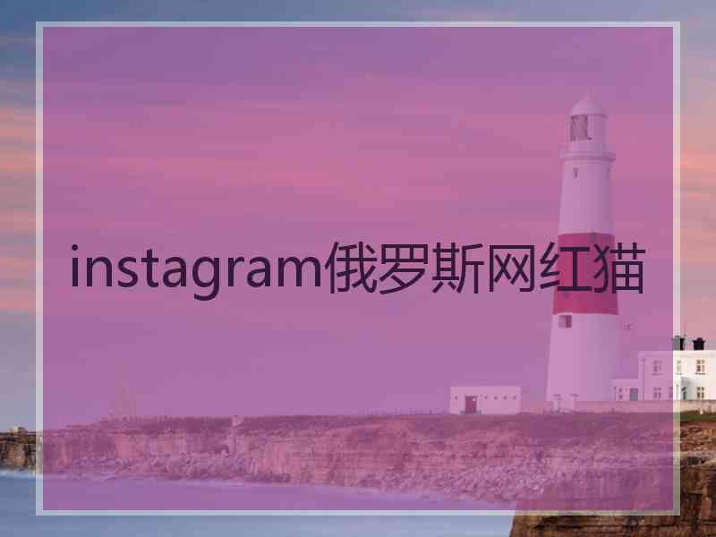 instagram俄罗斯网红猫