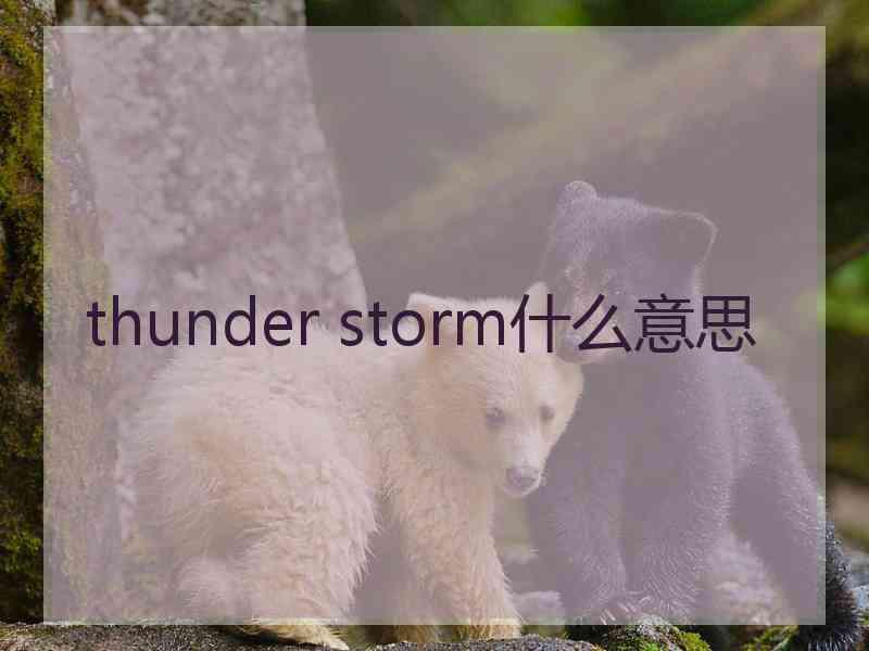 thunder storm什么意思