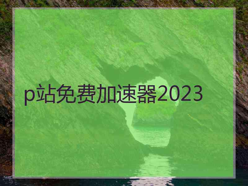 p站免费加速器2023