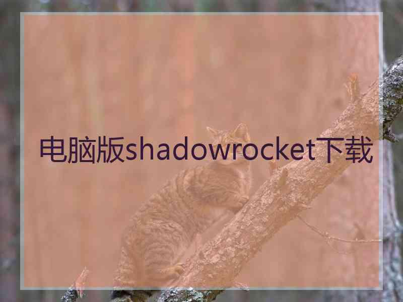 电脑版shadowrocket下载