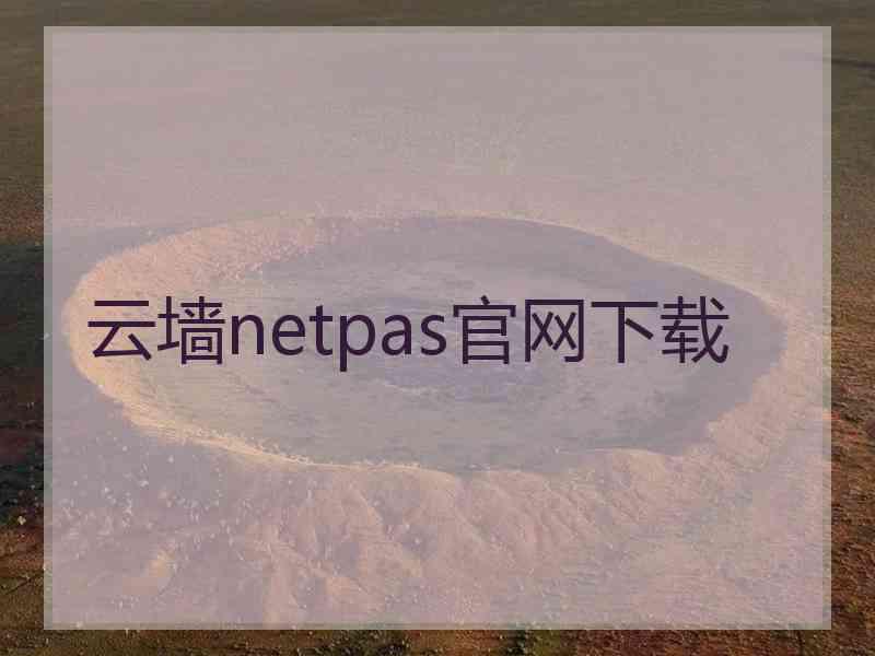 云墙netpas官网下载