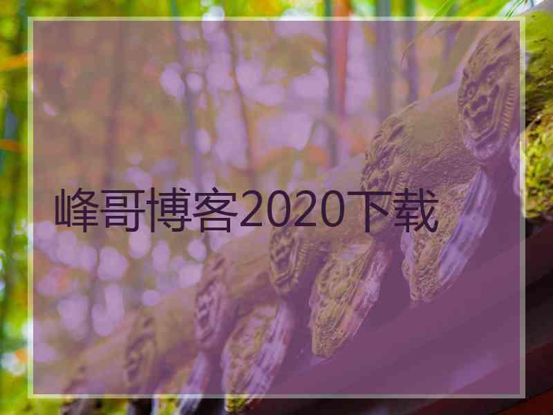 峰哥博客2020下载