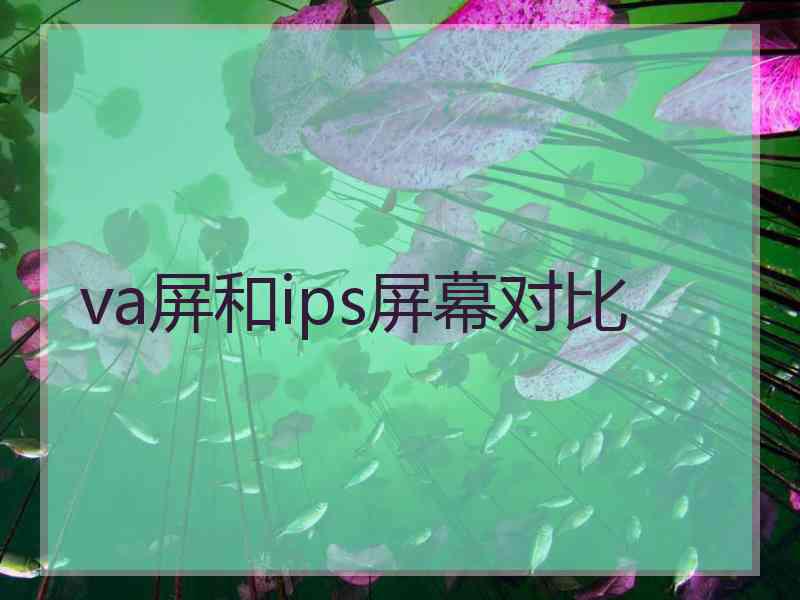 va屏和ips屏幕对比