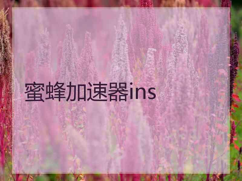 蜜蜂加速器ins