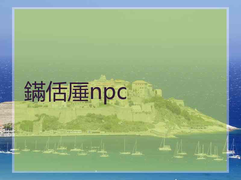 鏋佸厜npc