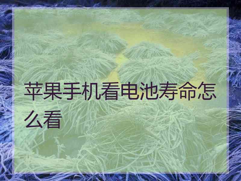 苹果手机看电池寿命怎么看