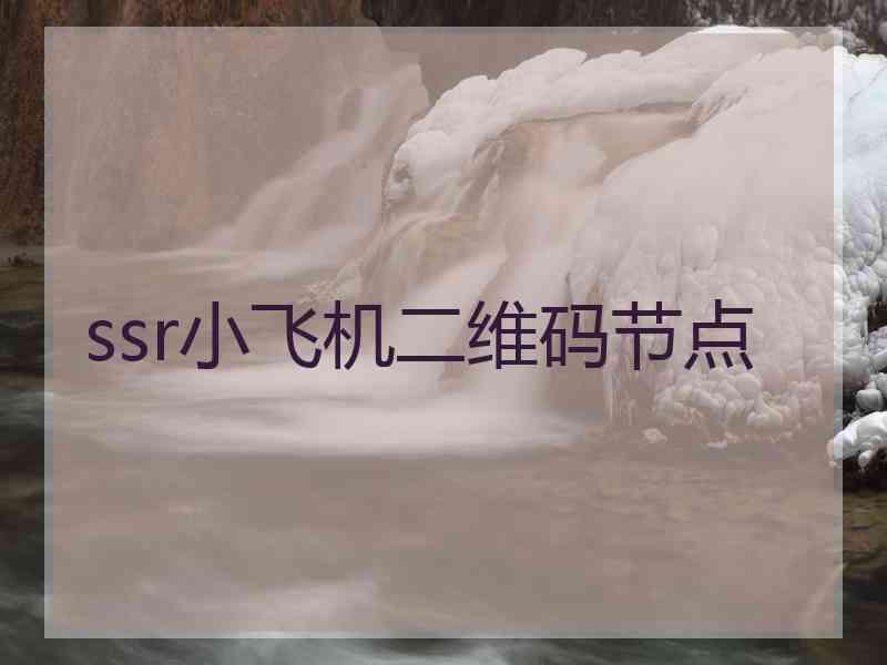 ssr小飞机二维码节点