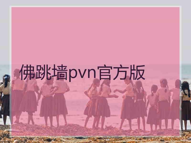 佛跳墙pvn官方版