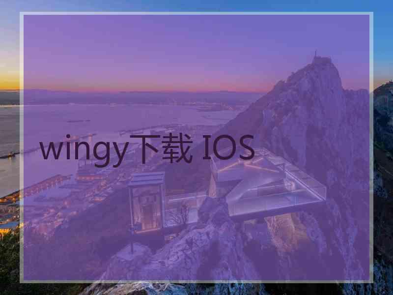 wingy下载 IOS