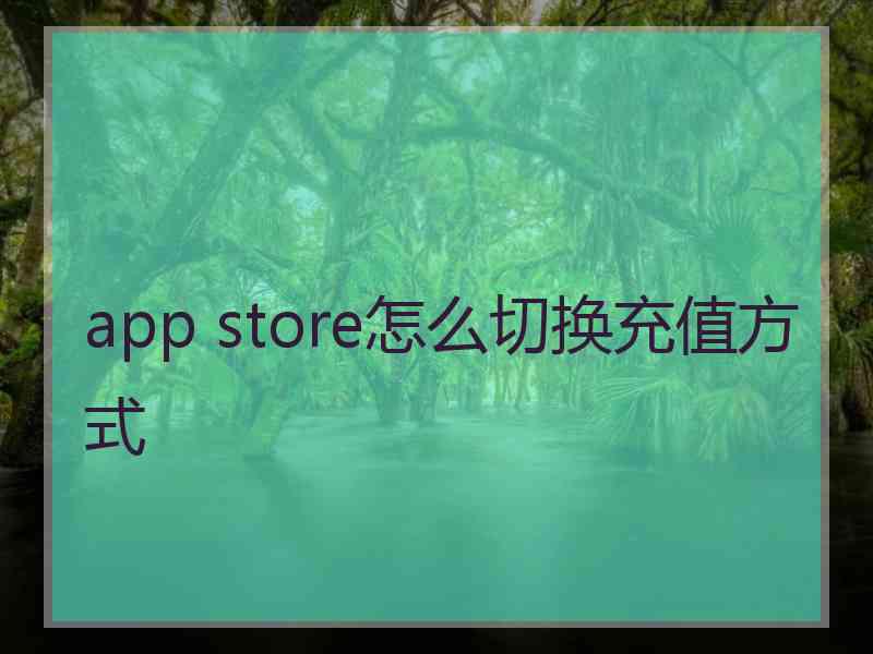 app store怎么切换充值方式