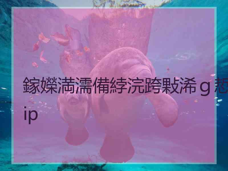 鎵嬫満濡備綍浣跨敤浠ｇ悊ip