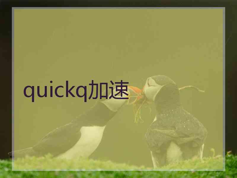 quickq加速