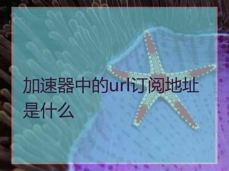 加速器中的url订阅地址是什么