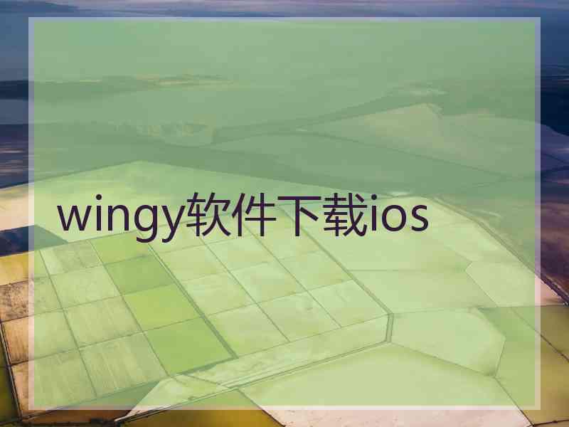 wingy软件下载ios