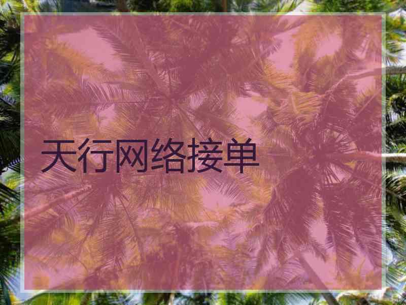 天行网络接单