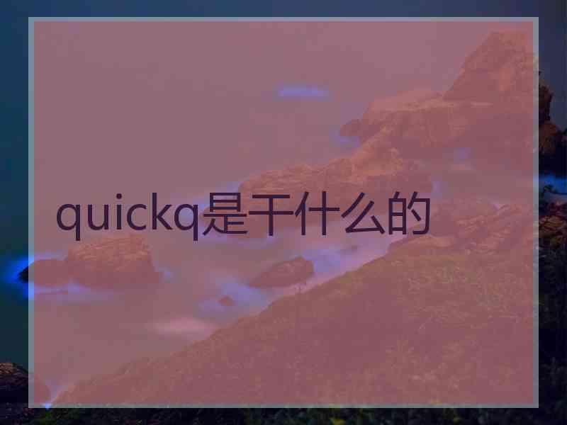 quickq是干什么的