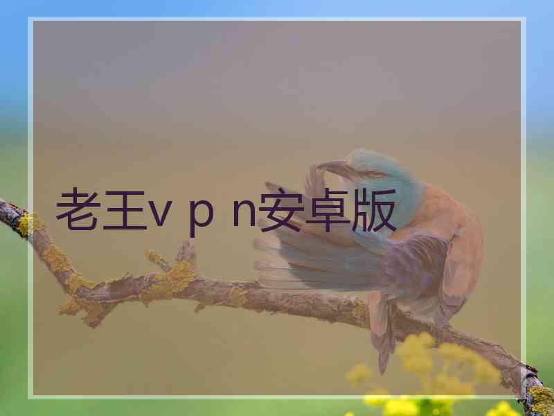 老王v p n安卓版