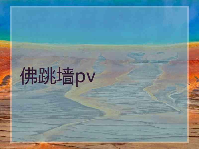 佛跳墙pv