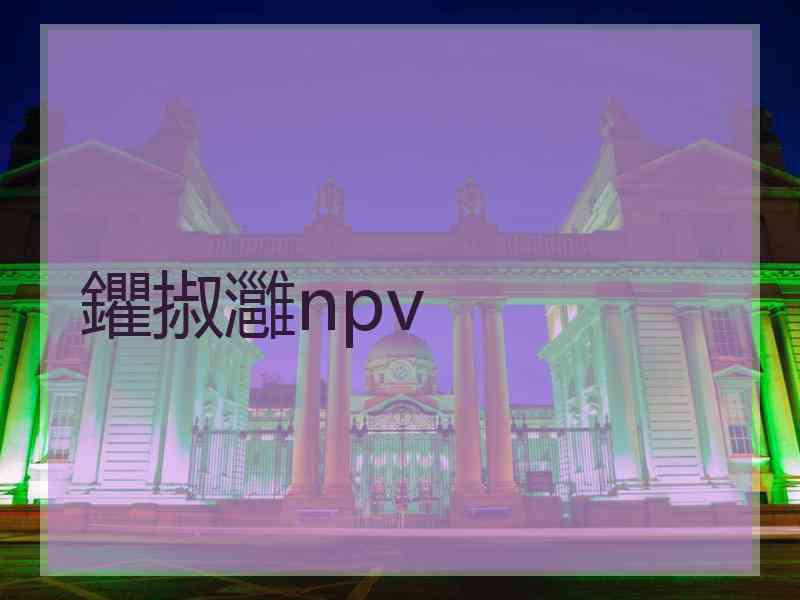 鑺掓灉npv