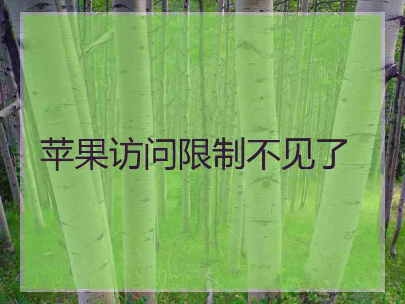 苹果访问限制不见了