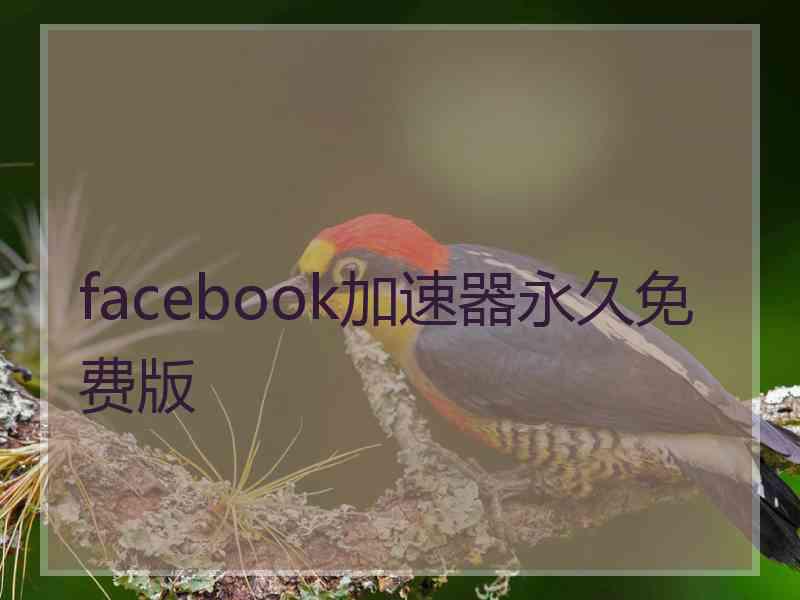 facebook加速器永久免费版